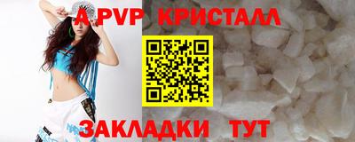 шишки Славгород