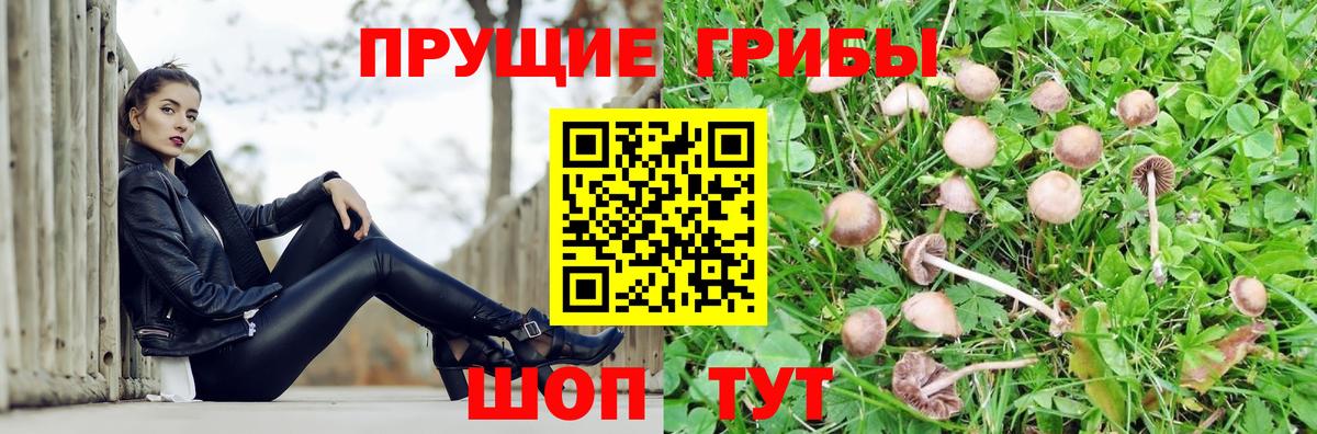 Галлюциногенные грибы ЛСД Павловский Посад