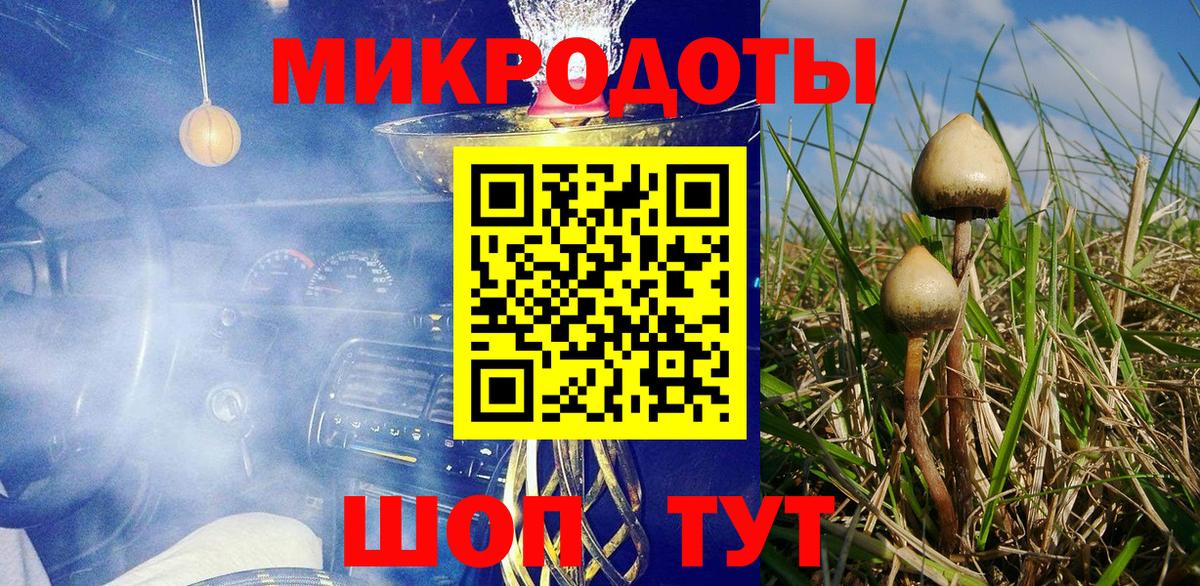 Павловский Посад  Галлюциногенные грибы Magic Shrooms  Вход с VPN 